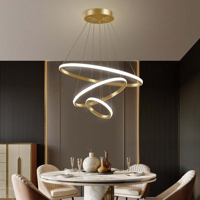 Zin Modern Ring Pendant Light, 2/3/4 Rings
