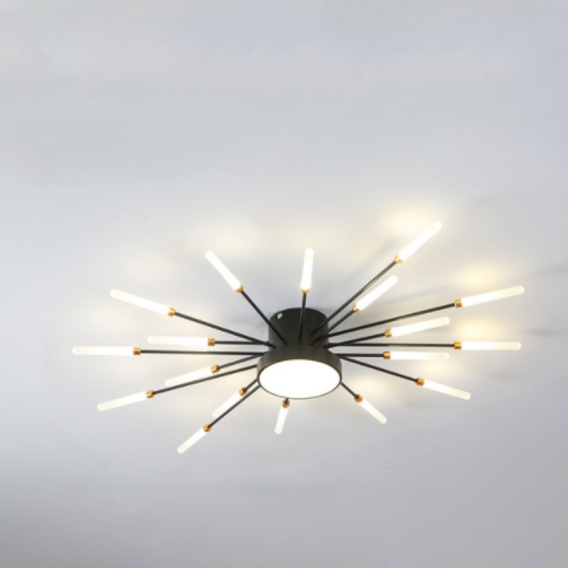 Wesley Modern Firework LED Ceiling Light