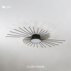Wesley Modern Firework LED Ceiling Light