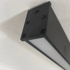 Solin Linear Black Ceiling and Wall Light