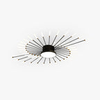 Wesley Modern Firework LED Ceiling Light