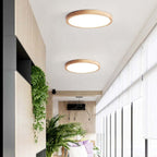 Aven Ceiling Light Fixtures