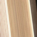 Ray Modern Black Rectangular Metal Outdoor Wall Lamp
