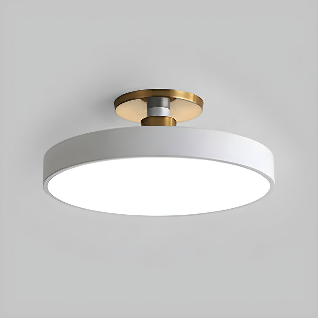 Loma Flush-Mount Ceiling Light Fixture