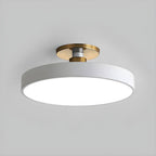 Loma Flush-Mount Ceiling Light Fixture