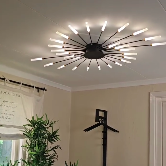 Wesley Fireworks Flush-Mount Ceiling Light in Black/Gold
