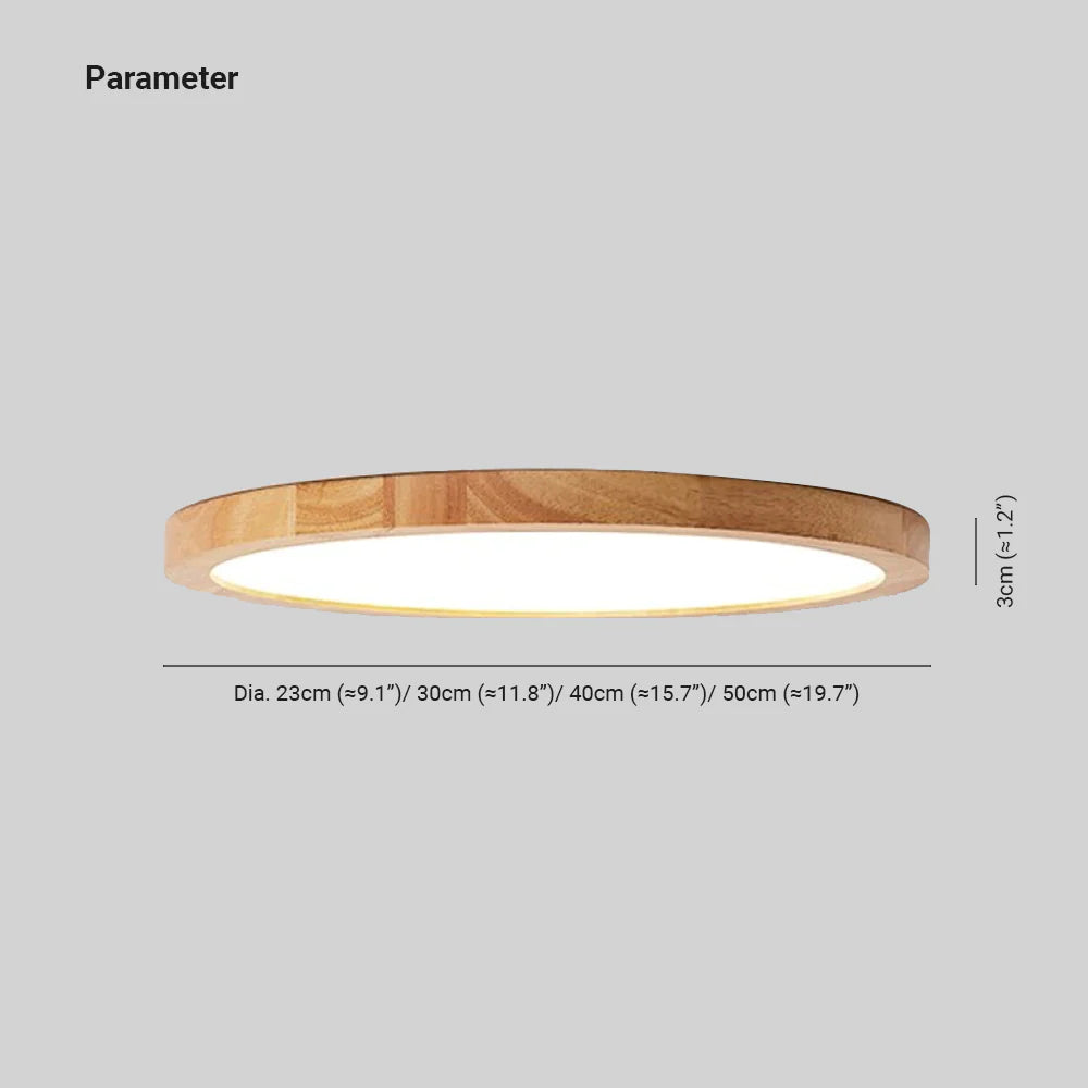 Aven Ceiling Light Fixtures