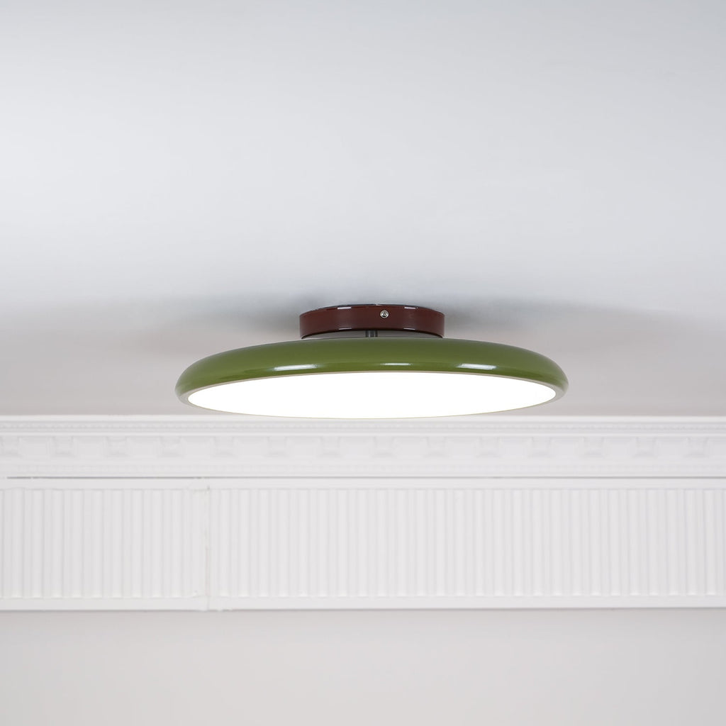 Fyne Adjustable Colorful Bedroom Ceiling Light
