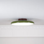 Fyne Adjustable Colorful Bedroom Ceiling Light