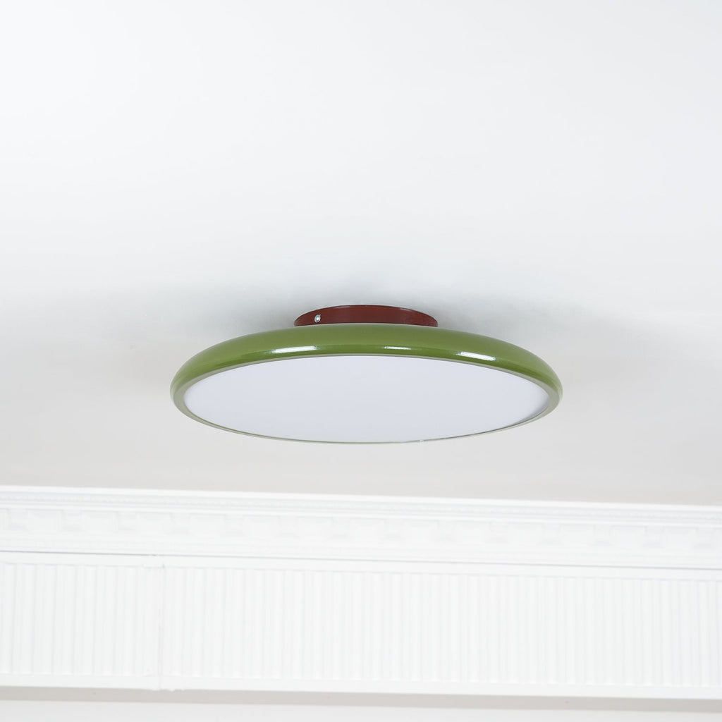 Fyne Adjustable Colorful Bedroom Ceiling Light