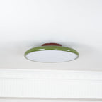 Fyne Adjustable Colorful Bedroom Ceiling Light