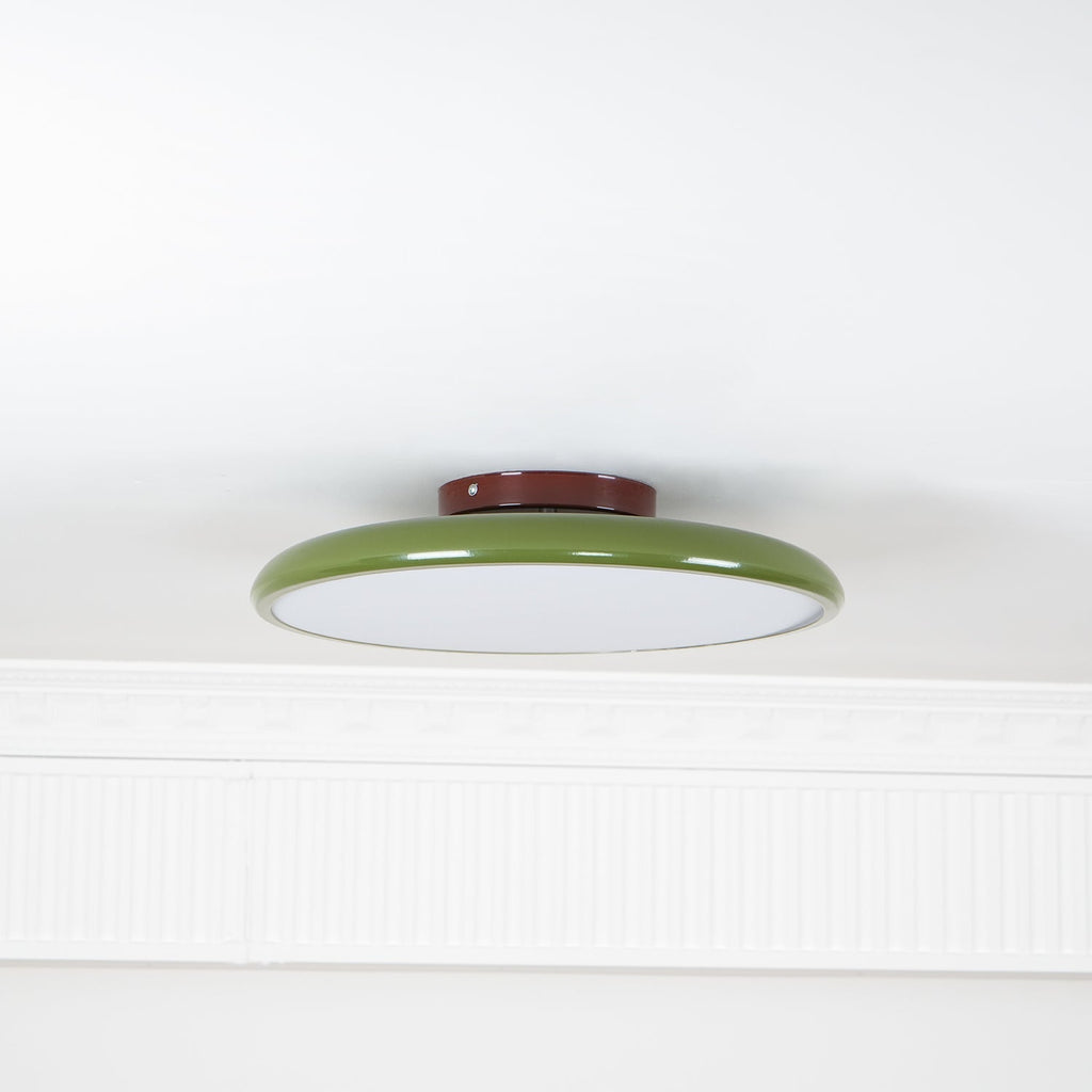 Fyne Adjustable Colorful Bedroom Ceiling Light