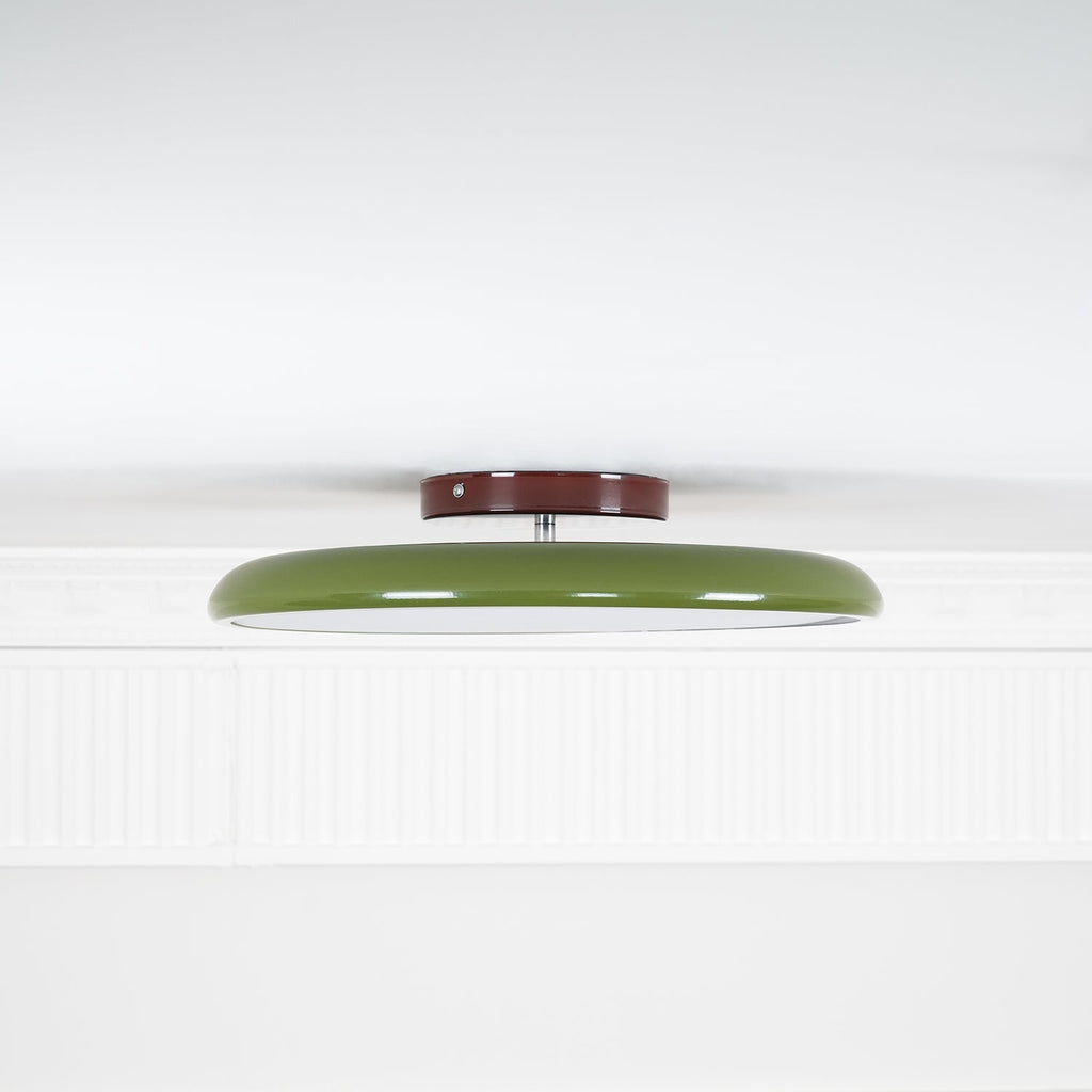 Fyne Adjustable Colorful Bedroom Ceiling Light