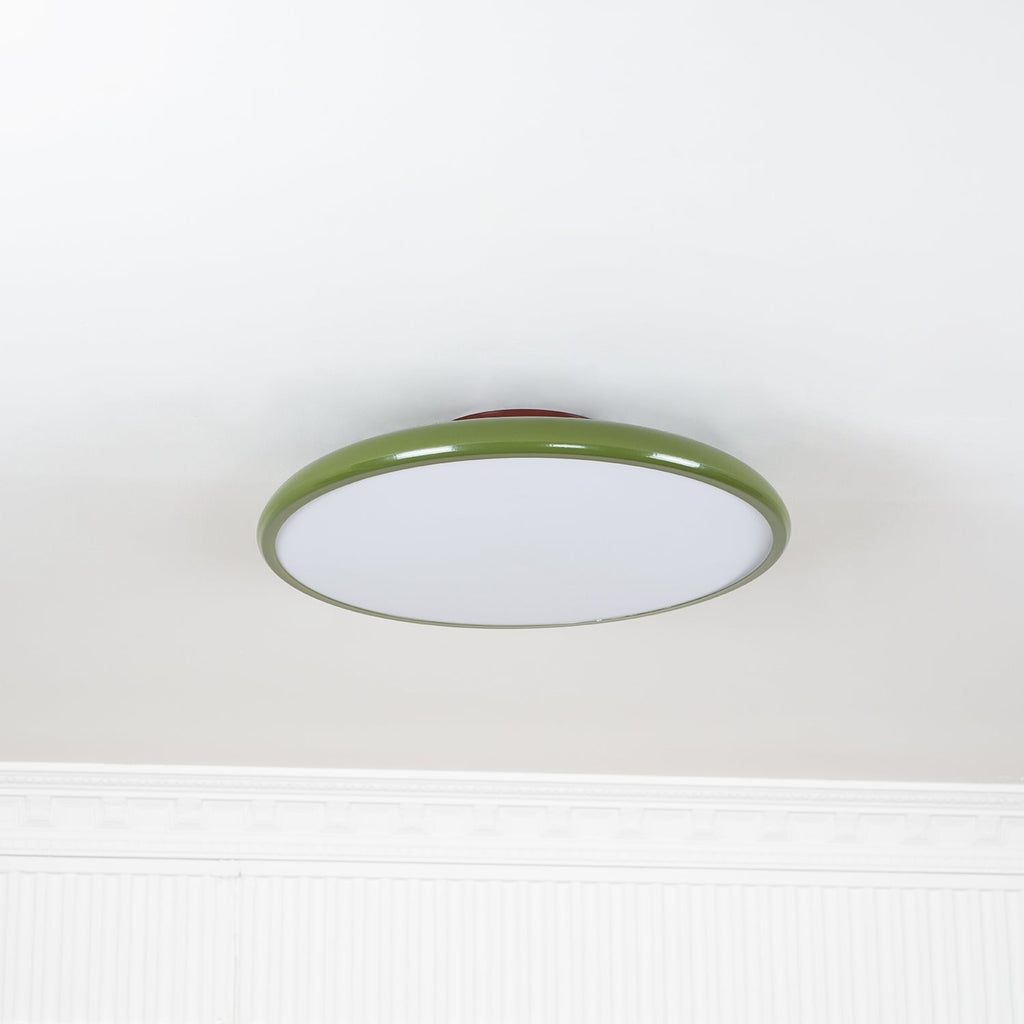 Fyne Adjustable Colorful Bedroom Ceiling Light