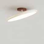 Fyne Adjustable Colorful Bedroom Ceiling Light
