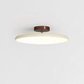 Fyne Adjustable Colorful Bedroom Ceiling Light