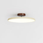 Fyne Adjustable Colorful Bedroom Ceiling Light