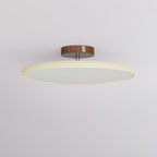 Fyne Adjustable Colorful Bedroom Ceiling Light