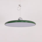 Flux Morandi Adjustable-Arm Pendant Light