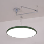 Flux Morandi Adjustable-Arm Pendant Light