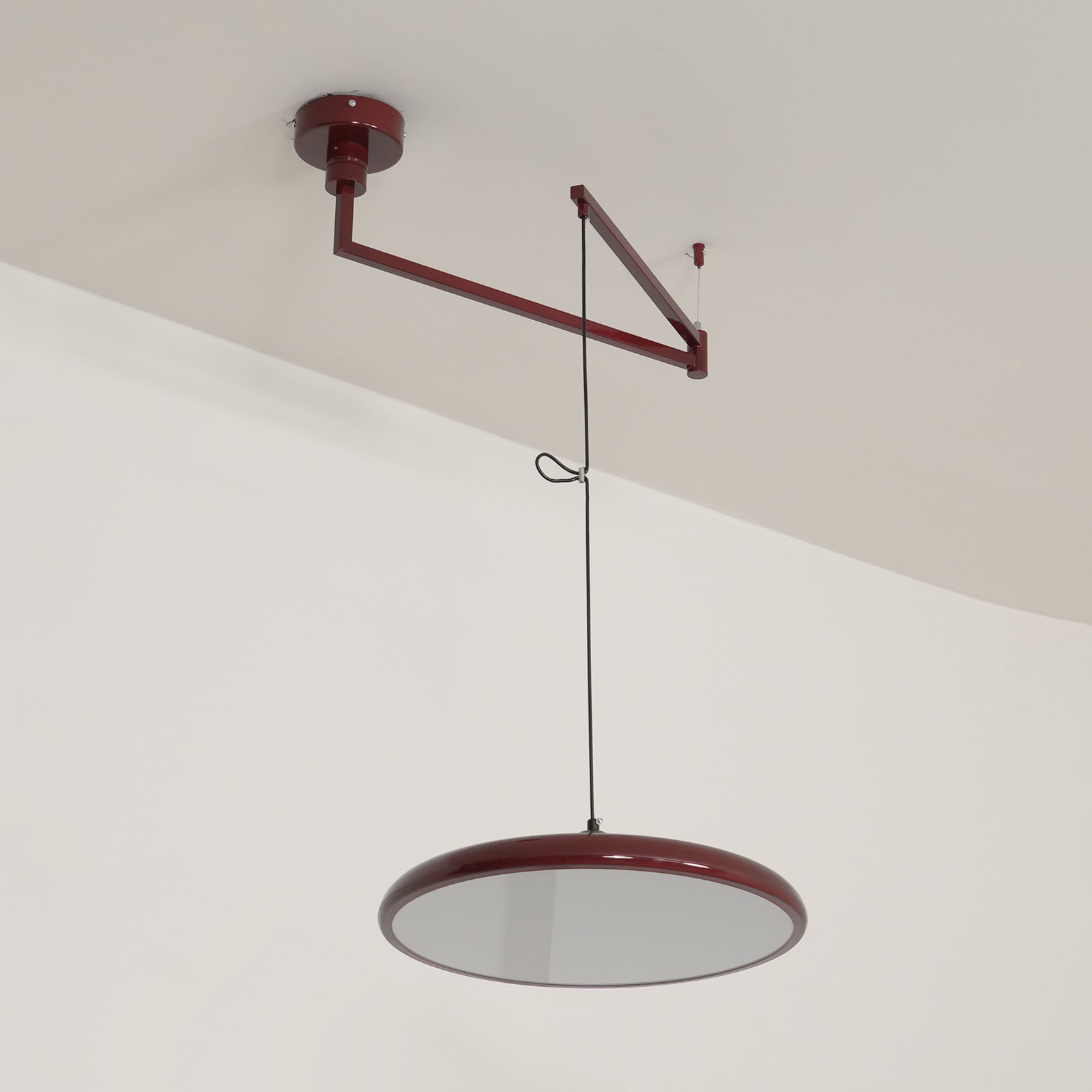 Flux Morandi Adjustable-Arm Pendant Light