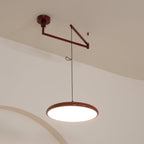 Flux Morandi Adjustable-Arm Pendant Light