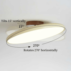 Fyne Adjustable Colorful Bedroom Ceiling Light