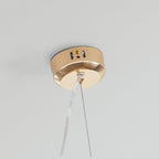 Kalia Vintage Dandelion Firework Pendant Light