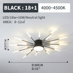 Wesley Modern Firework LED Ceiling Light