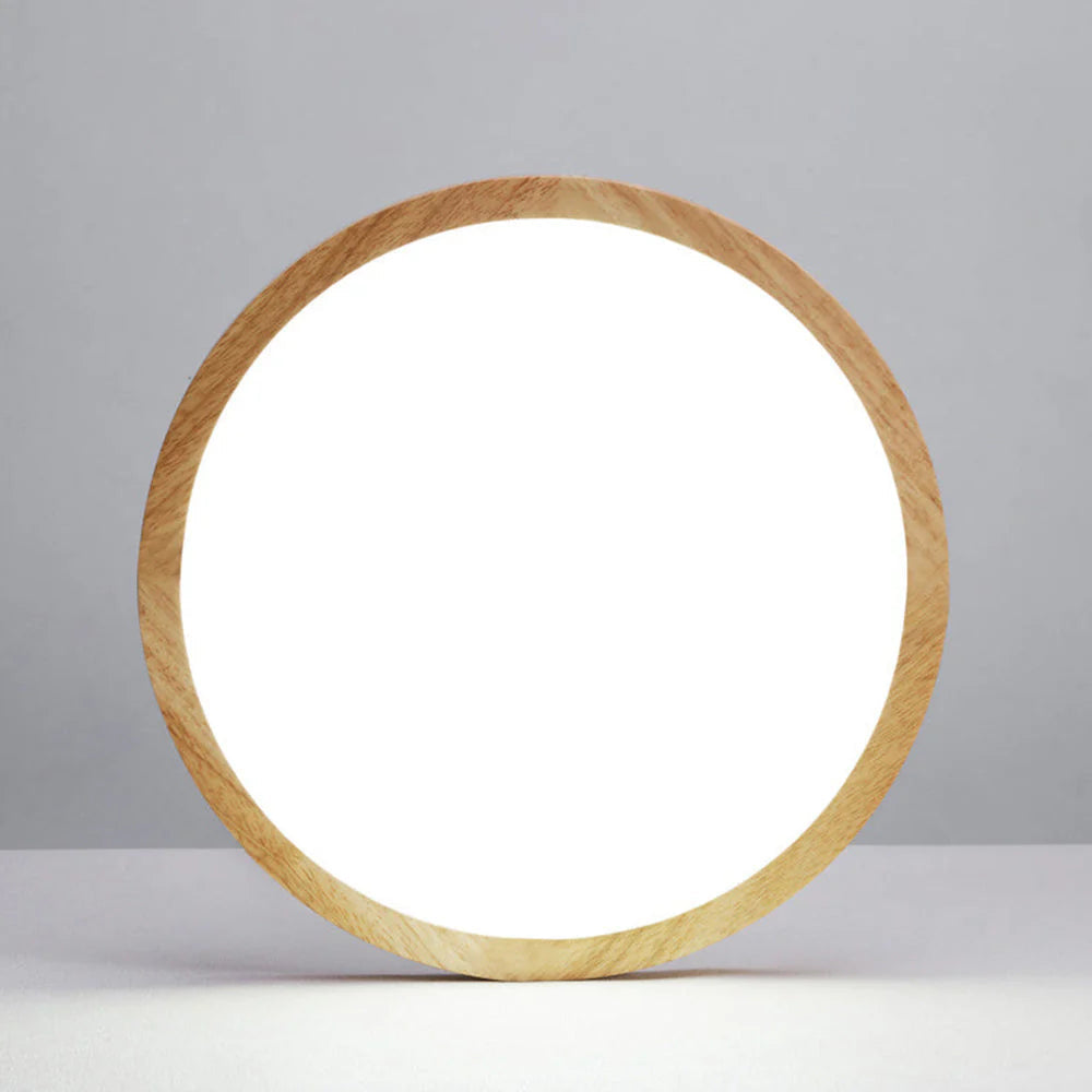 Aven Ceiling Light Fixtures
