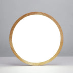 Aven Ceiling Light Fixtures